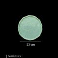 23 CM KAVİSLİ YUVARLAK TEPSİ KALIBI